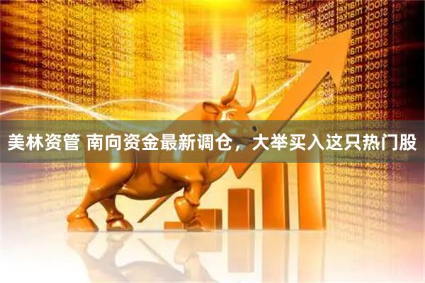 美林资管 南向资金最新调仓，大举买入这只热门股