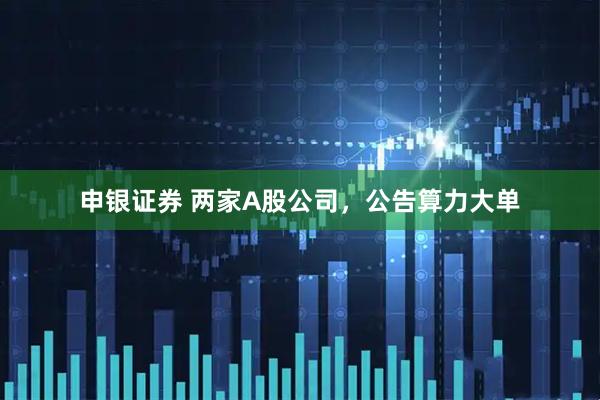 申银证券 两家A股公司，公告算力大单